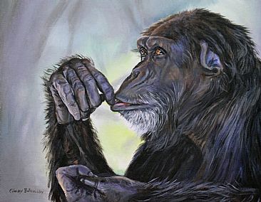 Contemplation of Plight - Chimp by Cindy Billingsley