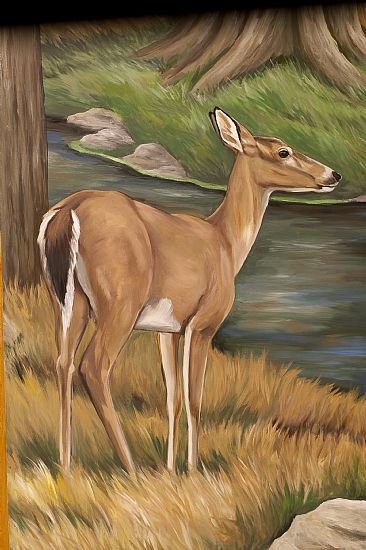 Deer - deer by Cindy Billingsley