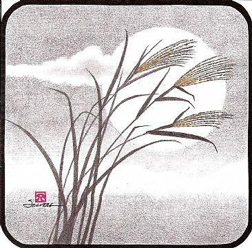 Susuki - Mountain Pampas Grass by Solveig Nordwall