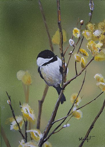 spring is here - chickadees by Margit Sampogna