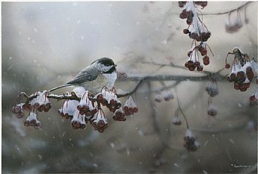 Winter Freeze - Nature by Robin Murray