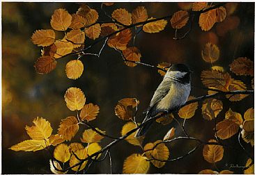 Autumn Glow - Nature by Robin Murray