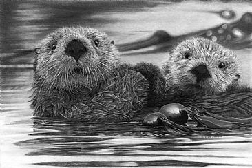 For Generations To Come - Sea Otters - Sea Otters by Kevin Johnson