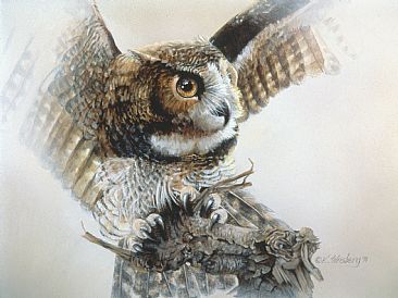 Expressions - Great Horned Owl by Kathryn Weisberg