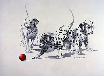 Spots - Dalmatian Puppies by Kathryn Weisberg