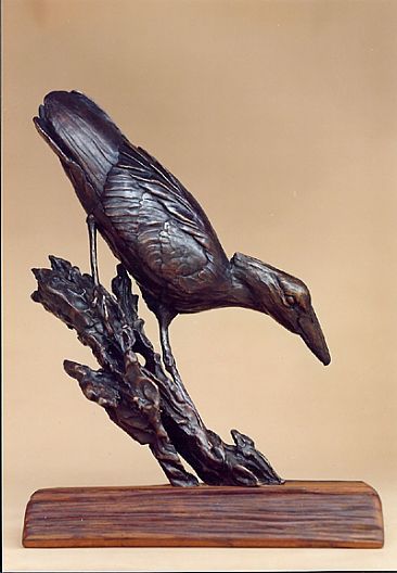 Hunting - Hammerkop by Robert Glen