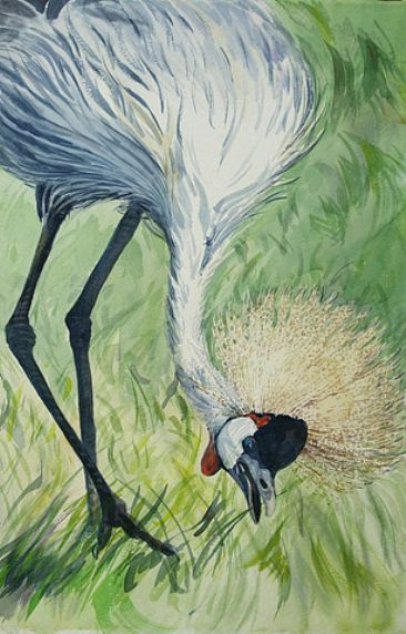 Crown of Feathers - African Grey Crowned Crane by Karyn deKramer