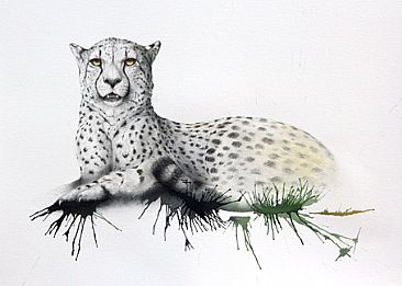 elapse 7 - Cheetah by Norbert Gramer