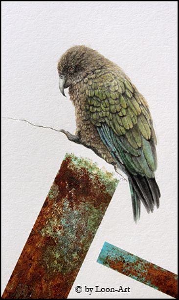 Realism meets Abstraction 3 - Kea by Norbert Gramer