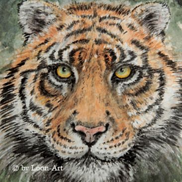 Nightfall 9 (Miniature) - Sumatra Tiger by Norbert Gramer