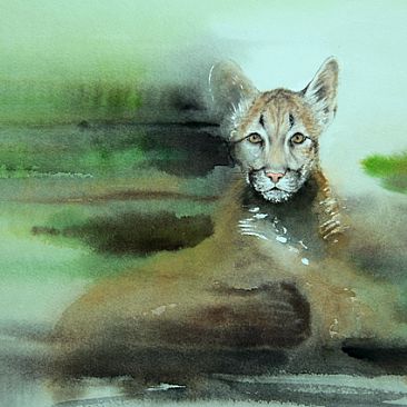 Dissolve 11: Children are our Future - Florida Panther by Norbert Gramer