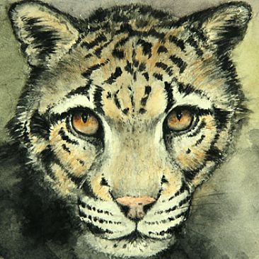 Nightfall 2 (Miniature) - Clouded Leopard by Norbert Gramer