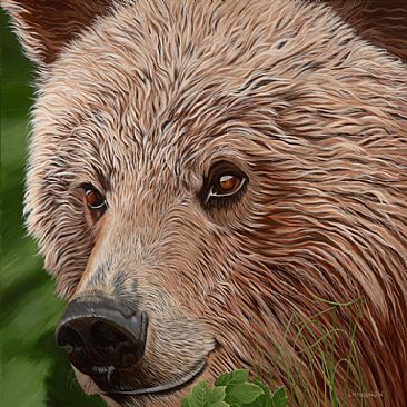 Inquisitive - Grizzly Bears by Lynn Erikson