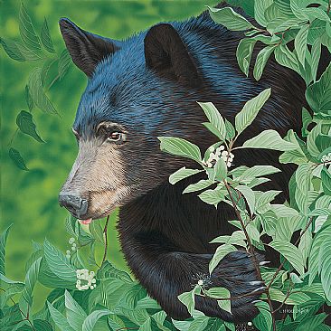 Keeping Watch - Black Bear by Lynn Erikson