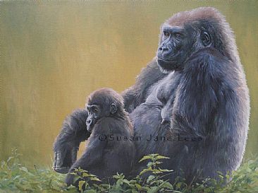 Salome and Komale - Western lowland gorilla by Susan Jane Lees