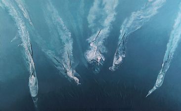 Oceans Eleven - Gannets and sardines  by Peter Gray