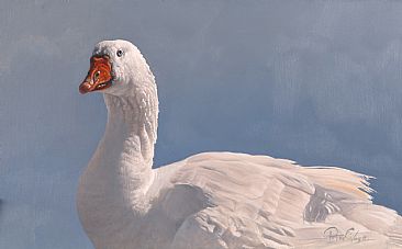 Royal Goose - Embden goose by Peter Gray