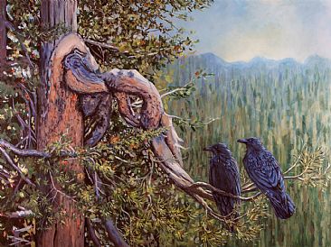 Thought and Memory, Ravens of Wyoming - Two Ravens on Pine Tree Near the Grand Teton Range by Megan Kissinger