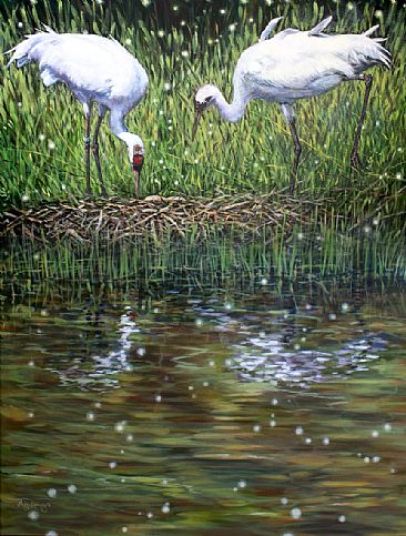 Still Point of the Turning World - Whooping Cranes at nest by Megan Kissinger