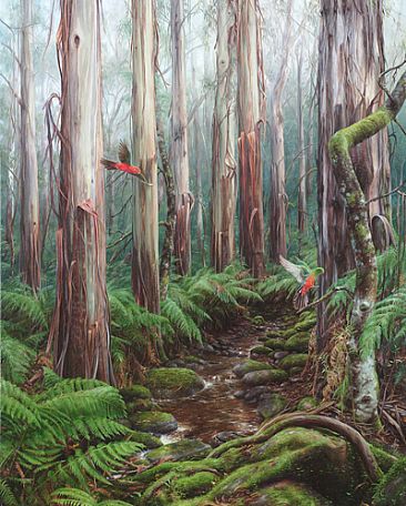 Mountain Ash Forest - Landing of the King Parrots - Victorian Central Highlands Mountain Ash Forest  by Elizabeth Cogley