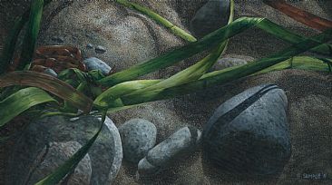 All Knotted Up - seaweed, rocks and sand by Esther Sample