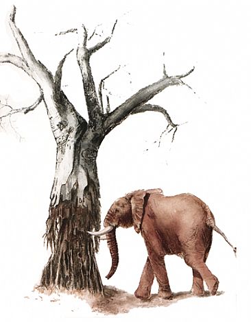 Elephant & the Baobab; sold at charity auction - Elephant and Baobab Tree by Anne Corless