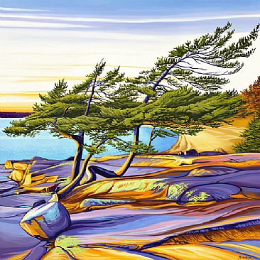 Entangled Pines - Entangled Pines at sunset on Georgian Bay shoreline. by Margarethe Vanderpas