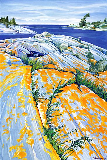 Lichen, Georgian Bay -  by Margarethe Vanderpas