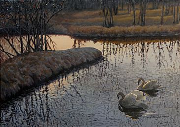 Before Darkness Falls - Swans by Valentin Katrandzhiev
