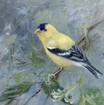 Summer Gold  - American Goldfinch by Mary Erickson