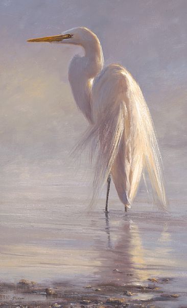Morning Mist - white Egret by Mary Erickson