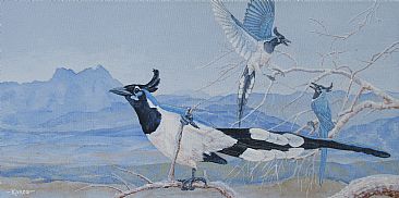 Cacophony in Blue - Black-throated Magpie Jays by Kim Duffek