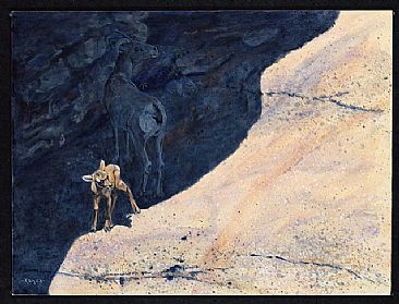 Look Out World... - Desert Bighorn Sheep, lamb and ewe by Kim Duffek
