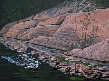 Kawartha Loons - Sold - Loon Pair by Ron Plaizier