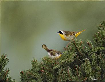 Common Yellowthroat Warbler Pair - Sold - Common Yellowthroat Warbler Pair by Ron Plaizier