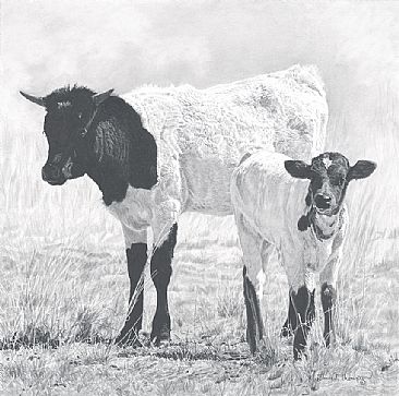 Curious II - Cattle by Martha Thompson