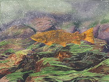 In the Rapids - Brown Trout by Martha Thompson