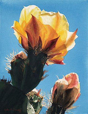 A Yellow Blossom - Prickly Pear Cactus Flower by Martha Thompson