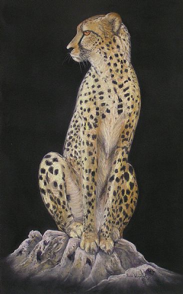 The Sentinel - Cheetah by Paula Wiegmink