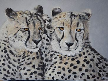 'Mtoto and Chana' - SOLD - Cheetah by Paula Wiegmink