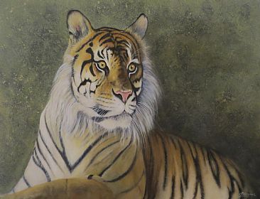 Last Look -  Tiger by Paula Wiegmink