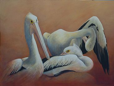 Pelican Brief - Australian Pelican by Paula Wiegmink