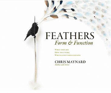 Feathers, Form, and Function  - What feathers are, what they do, and why we find them alluring by Chris Maynard