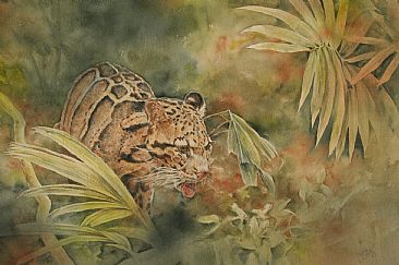 Forest of the Clouded Leopard - Clouded leopard in natural habitat by Jan Lutz