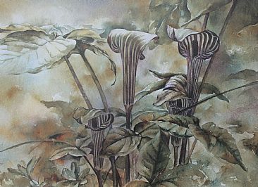 Just Jacks - Jack-in-the-Pulpit wildflowers by Jan Lutz