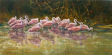 Roseate Spoonbills - Flock of Roseate Spoonbills in water by Jan Lutz