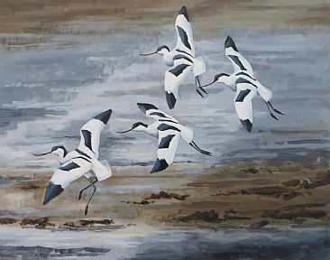 Four Avocets - Eurasian Avocets at Cley, North Norfolk, UK by Russ Heselden