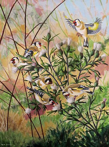 Midsummer Gold - European Goldfinches by Russ Heselden