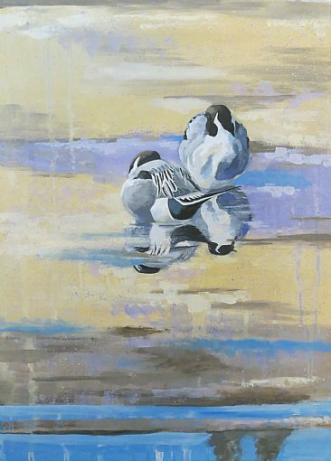 Quiet reflection - Northern Pintails by Russ Heselden