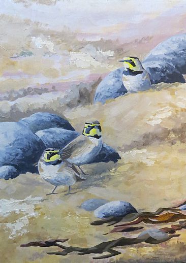 Shorelarks - A group of Shorelarks at Holkham Bay in North Norfolk. by Russ Heselden